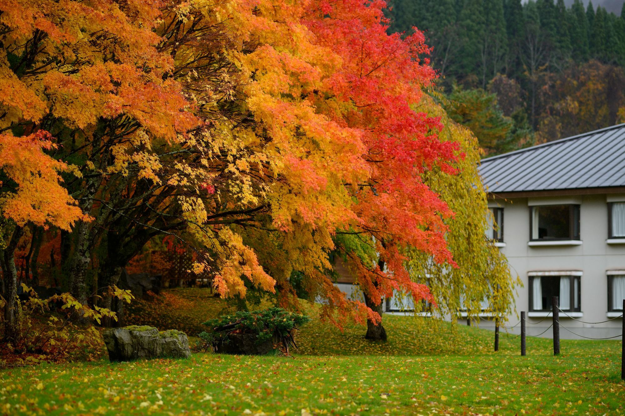 Towada Prince Hotel Kosaka Ngoại thất bức ảnh